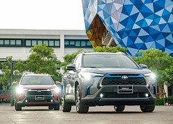 Bao nhiêu chiếc Toyota Corolla Cross được bán ra trong tháng 8?