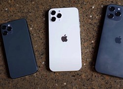 Các mẫu iPhone 12 có thể ra mắt trong nhiều đợt