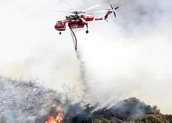 Cháy rừng ở California do tiệc tiết lộ giới tính thai nhi