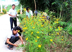 Cựu chiến binh góp sức bảo vệ môi trường