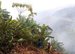 Đề nghị người dân không đốt rẫy khu vực Hòn Hèo