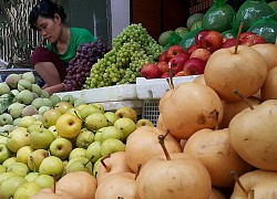 Mẹo đơn giản phân biệt ngay lê Việt Nam và lê Trung Quốc chỉ qua mắt thường