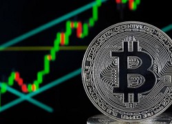 Giá Bitcoin hôm nay 8/9: Bitcoin tăng nhẹ, lộ kịch bản xấu