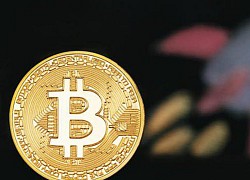 Giá bitcoin hôm nay 8/9: Tiếp tục tăng nhẹ, hiện ở mức 10.341,15 USD