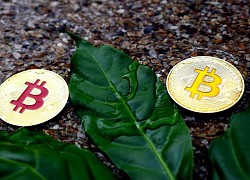 Giá Bitcoin hôm nay 9/9: Thị trường 'nhuốm máu', Bitcoin bị thổi bay 4 tỷ USD