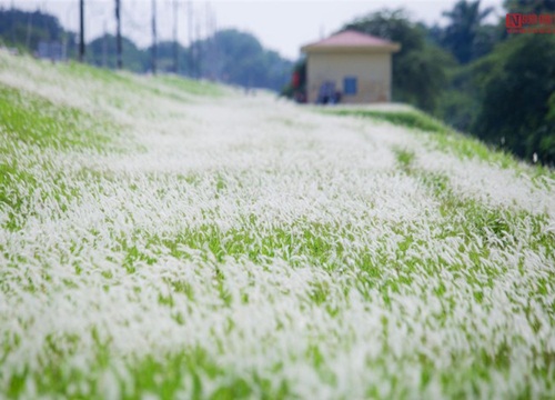 Hà Nội vào thu đẹp say đắm lòng người