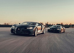 Hai mẫu Bugatti Chiron đặc biệt sắp trình làng