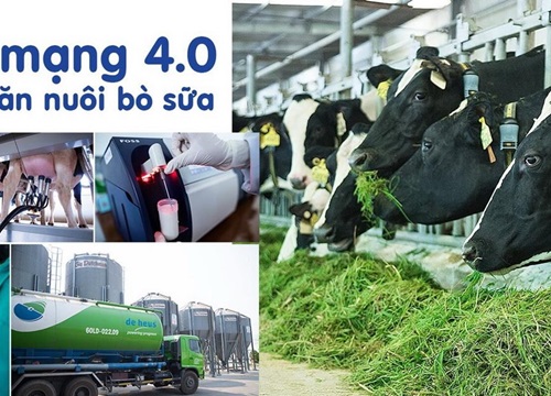 Hệ thống trang trại Vinamilk tăng trưởng về quy mô, hiệu quả hoạt động