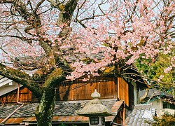 Kyoto - nơi lưu giữ ký ức Nhật Bản xưa