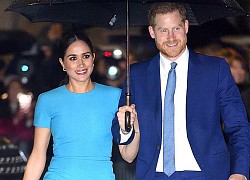 Meghan Markle bị khán giả Netflix từ chối, cùng chồng nhận chỉ trích "không biết xấu hổ" khi làm phim về Công nương Diana