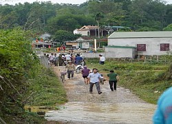 Nghệ An: Rơi xuống khe suối, 3 học sinh tiểu học tử vong