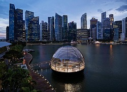 Ngỡ ngàng trước kỳ quan Apple Marina Bay Sands: Apple Store độc nhất vô nhị