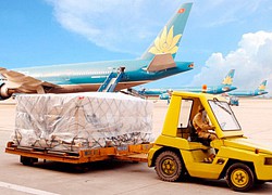 Noibai Cargo (NCT) chốt quyền nhận cổ tức đợt 1/2020 bằng tiền tỷ lệ 30%