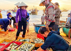 Quảng Bình: Mặt trời chưa mọc tha hồ chọn tôm, cá tươi roi rói, nhảy tanh tách ở chợ &#8220;làng không ngủ&#8221;