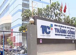 TCM lãi tháng 8 tăng 41%, ước về đích lợi nhuận sau 3 quý