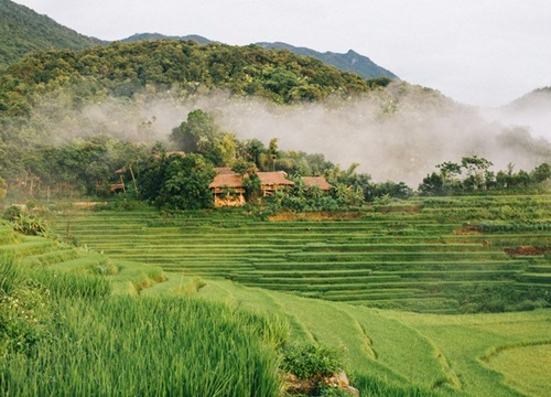 Tháng 9, đến Pù Luông ngắm lúa