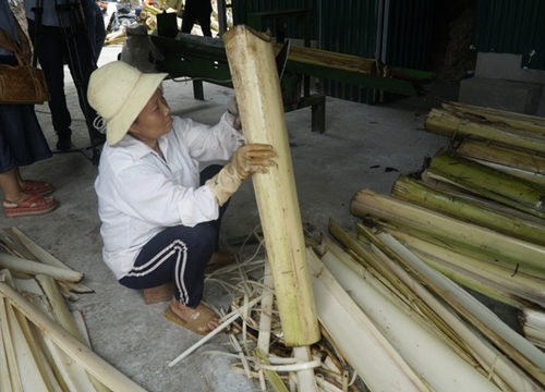 Phế thải bỏ đi ở nông thôn Việt Nam bỗng hóa "mỏ vàng", sang nước ngoài thu "bộn tiền"