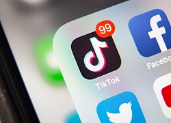 TikTok đăng ký quy tắc ứng xử chống lời nói thù hận của EU