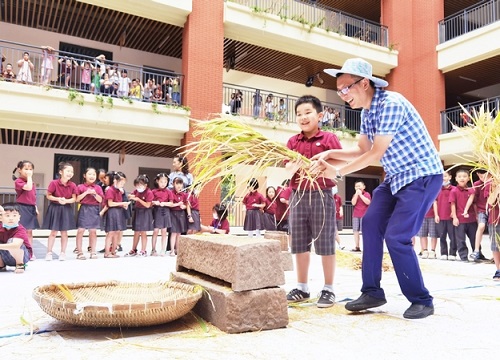 Trường dạy học sinh thu hoạch lúa