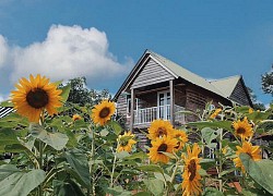 Bỏ thành phố lên Tây Nguyên "nuôi cá, trồng rau": Cặp đôi Sài Gòn khiến tất cả ngưỡng mộ với cuộc sống tựa cổ tích