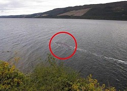 Bức ảnh rõ ràng nhất từ trước đến nay chụp 'quái vật hồ Loch Ness'