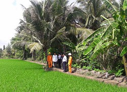 Đáng báo động: Bẫy chuột bằng điện ở ngoài đồng-nông dân biến mình thành kẻ giết người