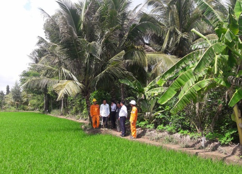 Đáng báo động: Bẫy chuột bằng điện ở ngoài đồng-nông dân biến mình thành kẻ giết người