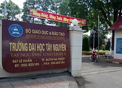 Điểm sàn Đại học Tây Nguyên phương thức đánh giá năng lực năm 2020