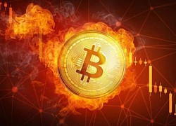 Giá Bitcoin hôm nay 11/9: Bitcoin sắp nổ lớn?