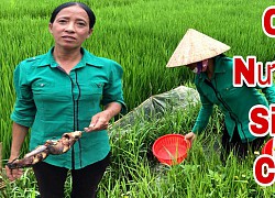 Bà Lý Vlog đăng clip &#8220;cà khịa&#8221; con trai bà Tân vụ gà nguyên lông, cư dân mạng bình luận: Report luôn kênh của bà cho vuông!