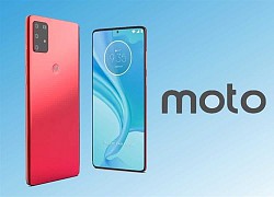 Ra mắt Moto G9 Plus, mọi thứ đều "siêu to khổng lồ"