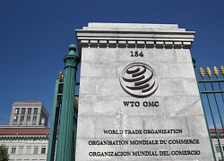 "Nóng" cuộc đua giành ghế Tổng giám đốc WTO