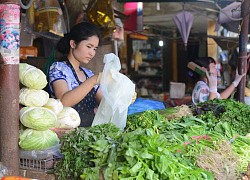 Quản lý chất thải nhựa: Bắt đầu từ hoàn thiện chính sách