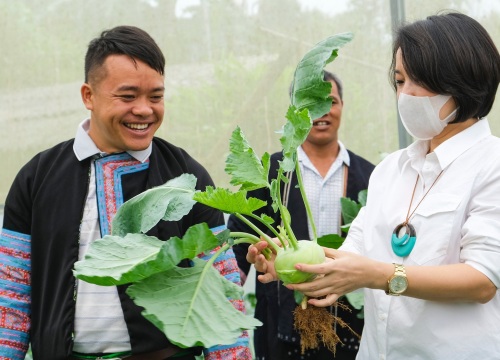 Sơn La: Dân nghèo miền núi tăng thu nhập 200% nhờ dự án Sinh kế cộng đồng