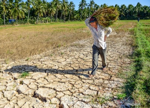 Thủ tướng: Không để người dân thiếu nước sinh hoạt trước nguy cơ hạn mặn nghiêm trọng