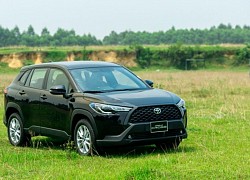 Toyota Corolla Cross vừa ra mắt đã bán được bao nhiêu xe?