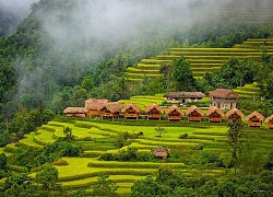 4 homestay Hà Giang cho chuyến ngắm mùa vàng