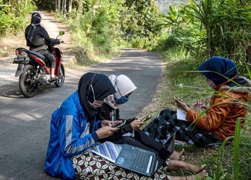 Học sinh Indonesia trèo lên cây học trực tuyến