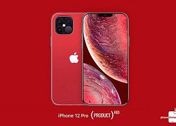 iPhone 12 5G chính thức lên kệ vào cuối tháng 10