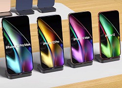 iPhone 12 chưa ra mắt, cửa hàng đã treo giá 79 triệu đồng