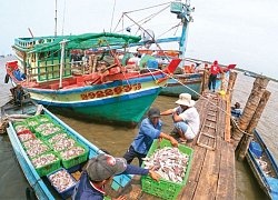 Nhiều nỗ lực trong việc gỡ "thẻ vàng"