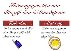 8 nguyên liệu thêm vào dầu gội giúp làm đẹp tóc