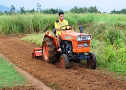 Bình Định: Ai đời dùng rau răm, mồng tơi, đậu bắp,&#8230; chế thuốc trị bệnh cho rau, thế mà rau cứ lớn vùn vụt