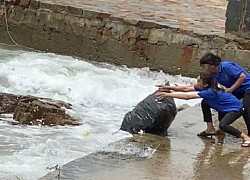 Chủ quán cà phê ở Vũng Tàu lý giải việc nhân viên vứt loạt bao rác xuống biển