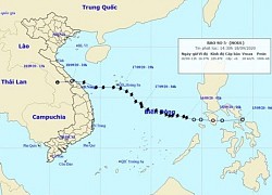 Cơn bão số 5 được dự báo chính xác để giảm thiểu thiệt hại