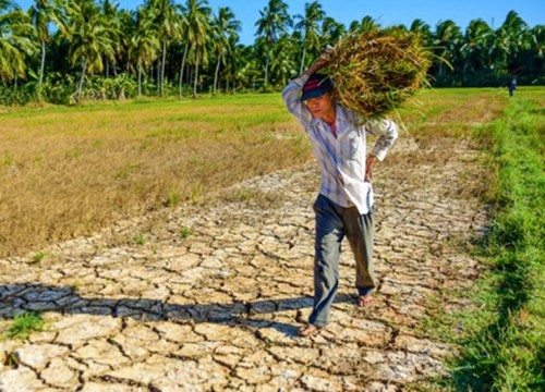 Đồng bằng sông Cửu Long: Vì sao cảnh báo khô hạn trong mùa mưa lũ?