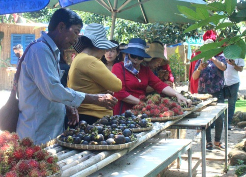 Đồng Nai: Nông dân thu tiền tỷ vì để du khách vào vườn tha hồ hái bưởi, chôm chôm