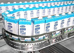 F&N Dairy lại đăng ký mua hơn 17 triệu cổ phiếu Vinamilk (VNM)