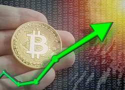 Giá Bitcoin hôm nay ngày 17/9: Bitcoin chạm mốc 11.000 USD/BTC