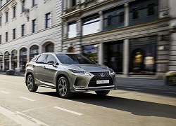 Lexus RX 2021 có thêm phiên bản thể thao